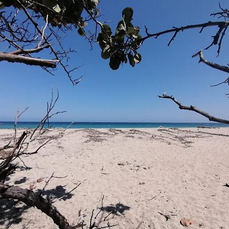 Mivals Otel Los Naranjos Dış mekan fotoğraf