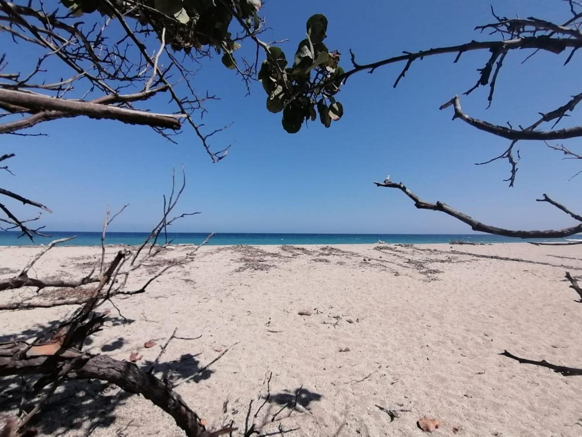 Mivals Otel Los Naranjos Dış mekan fotoğraf